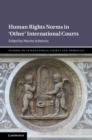 Image for Human rights norms in &#39;other&#39; international courts