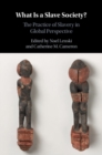 Image for What Is a Slave Society?: The Practice of Slavery in Global Perspective