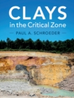 Image for Clays in the Critical Zone