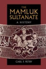Image for Mamluk Sultanate: A History