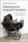 Image for Meaning and linguistic variation: the third wave in sociolinguistics