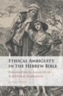 Image for Ethical ambiguity in the Hebrew Bible: philosophical analysis of scriptural narrative