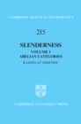 Image for Slenderness: Volume 1, Abelian Categories