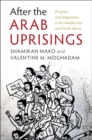 Image for After the Arab Uprisings: Progress and Stagnation in the Middle East and North Africa