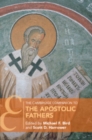 Image for The Cambridge companion to the Apostolic Fathers