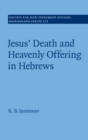 Image for Jesus&#39; death and heavenly offering in Hebrews : 172