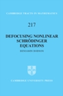 Image for Defocusing nonlinear Schrodinger equations : 217