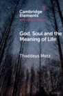 Image for God, Soul and the Meaning of Life