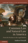 Image for Common law and natural law in America  : from the Puritans to the legal realists