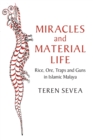 Image for Miracles and Material Life