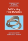 Image for Self-Exciting Fluid Dynamos