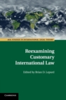 Image for Reexamining Customary International Law