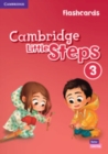Image for Cambridge Little Steps Level 3 Flashcards
