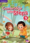 Image for Cambridge Little Steps Level 3 Big Book