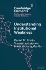 Image for Understanding Institutional Weakness : Power and Design in Latin American Institutions