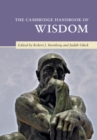 Image for The Cambridge handbook of wisdom