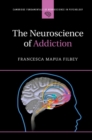 Image for Neuroscience of Addiction
