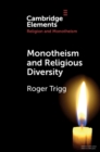 Image for Monotheism and Religious Diversity
