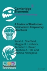 Image for A Review of Blastozoan Echinoderm Respiratory Structures