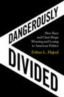 Image for Dangerously Divided: How Race and Class Shape Winning and Losing in American Politics