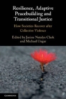 Image for Resilience, Adaptive Peacebuilding and Transitional Justice