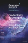 Image for Productivity in Emerging Countries