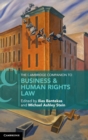 Image for The Cambridge companion to business &amp; human rights law