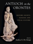 Image for Antioch on the orontes  : history, society, ecology, and visual culture