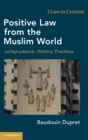 Image for Positive Law from the Muslim World