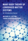 Image for Many-body theory of condensed matter systems: an introductory course