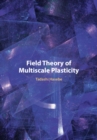 Image for Field theory of multiscale plasticity