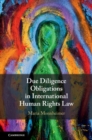 Image for Due Diligence Obligations in International Human Rights Law