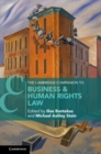 Image for Cambridge Companion to Business and Human Rights Law