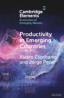 Image for Productivity in emerging countries: methodology and firm-level analysis based on international enterprise business surveys