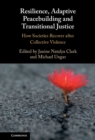 Image for Resilience, Adaptive Peacebuilding and Transitional Justice: How Societies Recover After Collective Violence