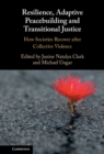 Image for Resilience, adaptive peacebuilding and transitional justice: how societies recover after collective violence