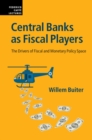 Image for Central banks as fiscal players: the drivers of fiscal and monetary policy space