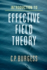 Image for Introduction to Effective Field Theory