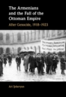 Image for The Armenians and the Fall of the Ottoman Empire: After Genocide, 1918-1923