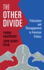 Image for Other Divide: Polarization and Disengagement in American Politics