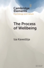 Image for The Process of Wellbeing: Conviviality, Care, Creativity