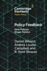 Image for Policy Feedback : How Policies Shape Politics