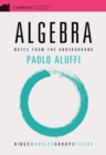 Image for Algebra  : notes from the underground