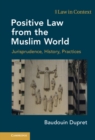 Image for Positive Law from the Muslim World: Jurisprudence, History, Practices