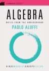 Image for Algebra: notes from the underground
