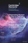 Image for Diagnosing human capital as a binding constraint to growth: tests, symptoms and prescriptions