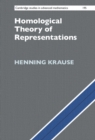 Image for Homological theory of representations : 195