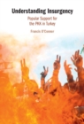 Image for Understanding insurgency: popular support for the PKK in Turkey