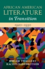 Image for African American Literature in Transition, 1920-1930: Volume 9