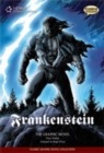 Image for Frankenstein: Workbook